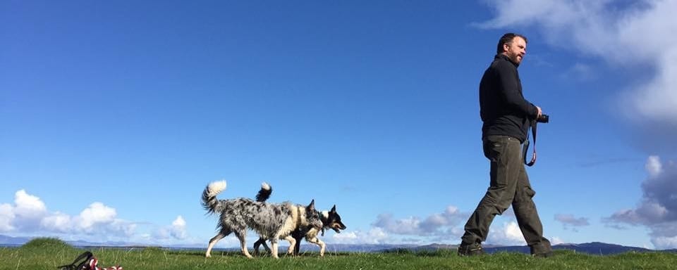 Dog Training Glasgow